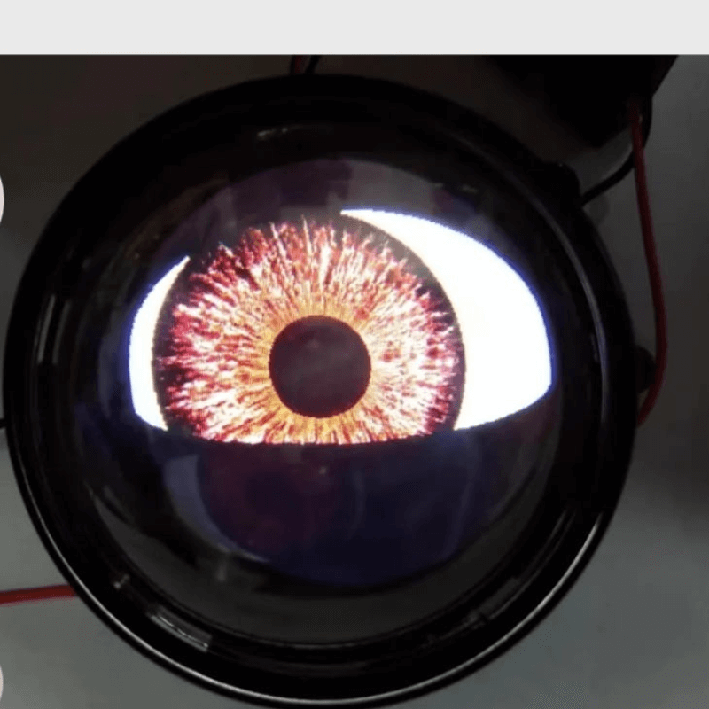 Blinking Eye Projector for Headlights