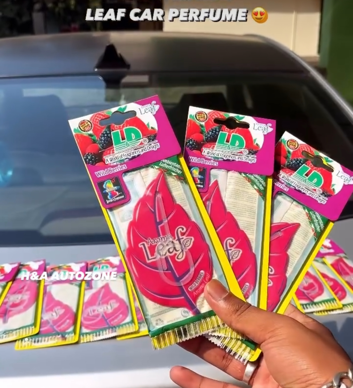 LEAF WILD BERRIES CAR PERFUME